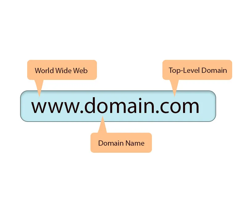 ماهو domain name
